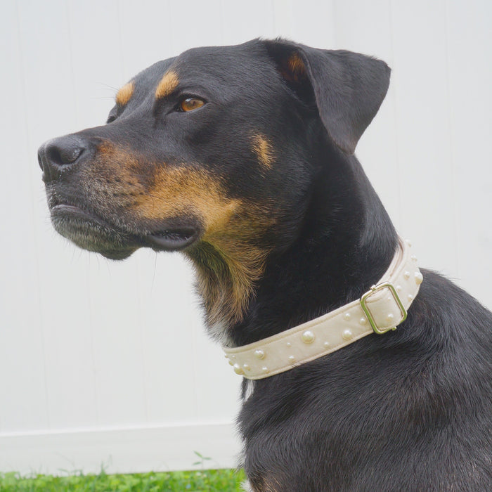 Pearl Beige Dog Collar