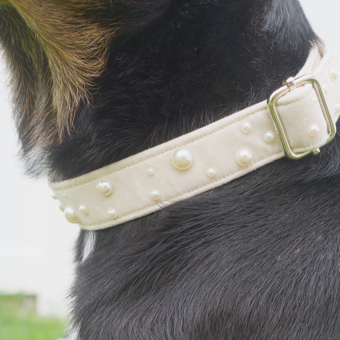 Pearl Beige Dog Collar