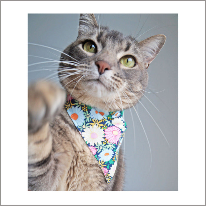 Bandanas + Bow Ties
