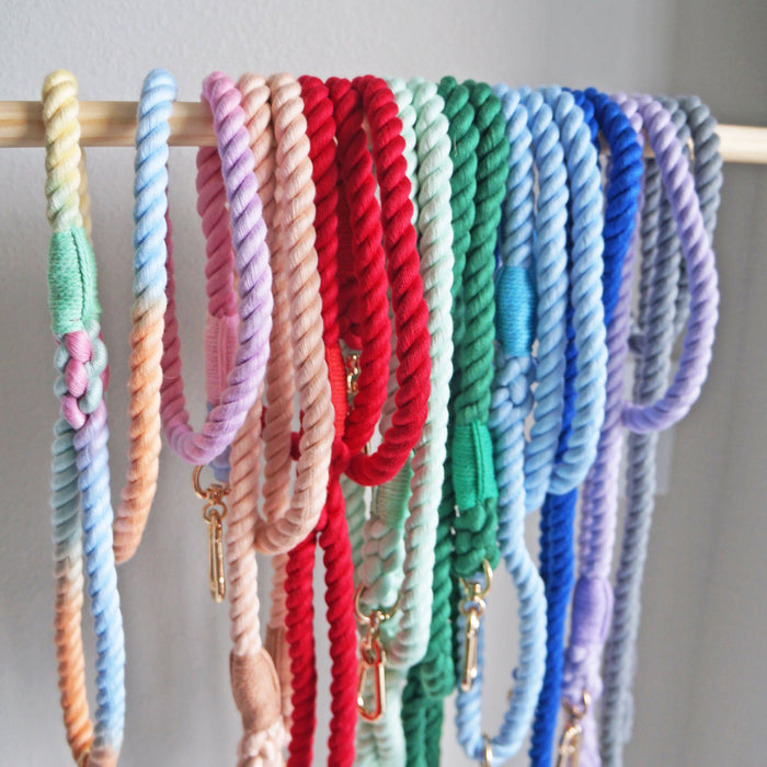 Leashes