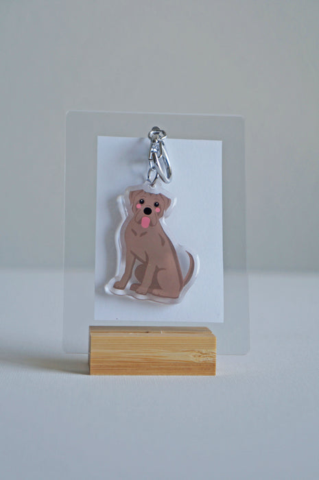 Cane Corso Epoxy Keychain