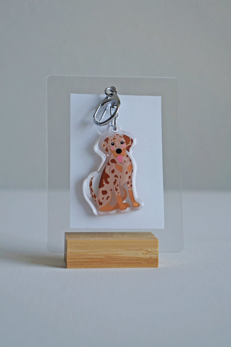 Catahoula Leopard Epoxy Keychain