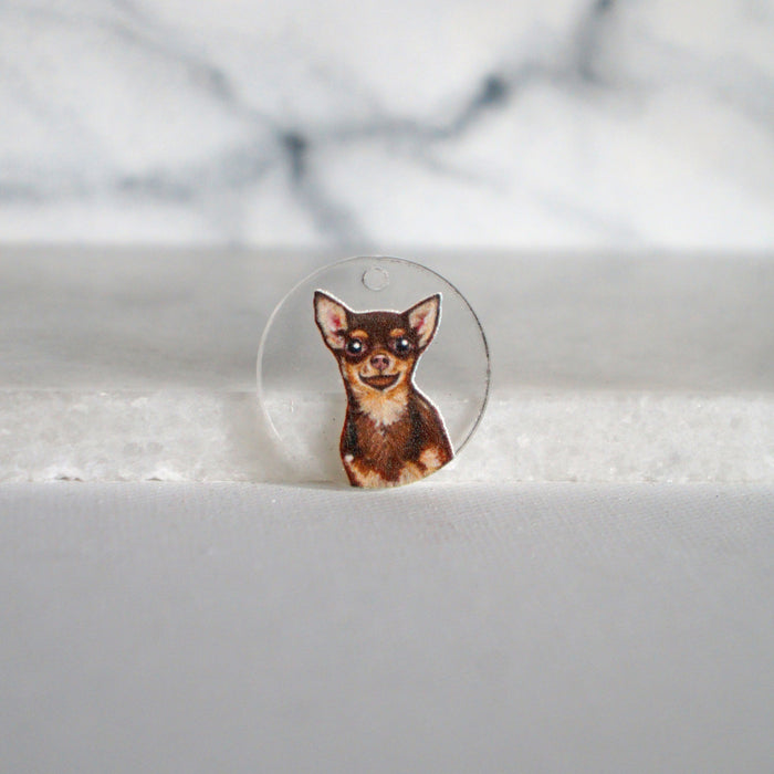 Chihuahua Charm