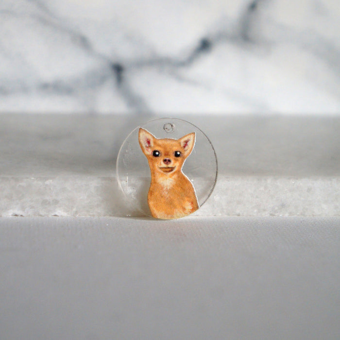 Chihuahua Charm