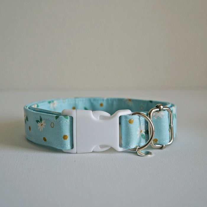 Spring Daisy Dog Collar