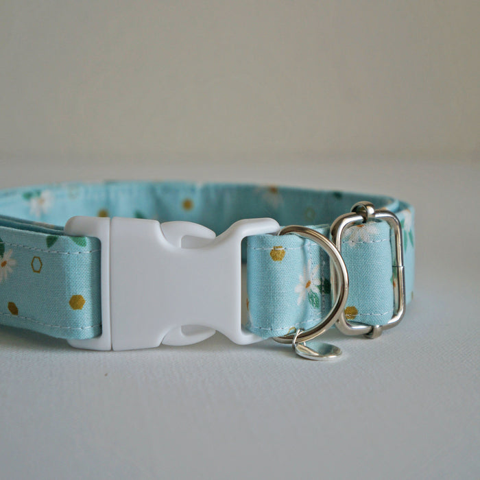 Spring Daisy Dog Collar