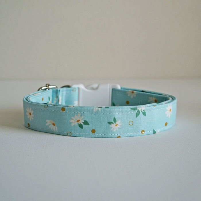 Spring Daisy Dog Collar