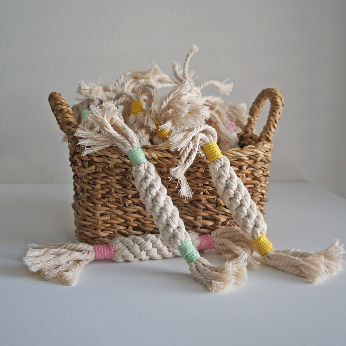 Rope Twist Toy