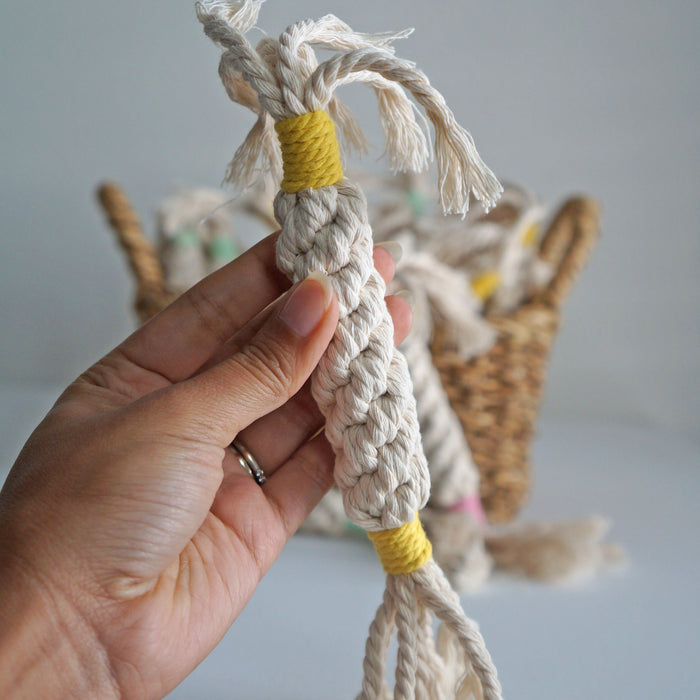 Rope Twist Toy