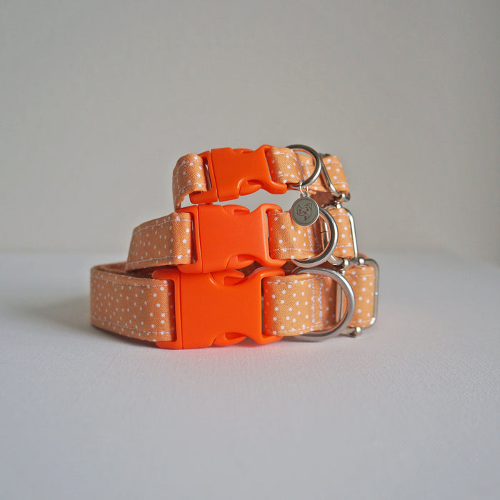 Orange Dotted Dog Collar