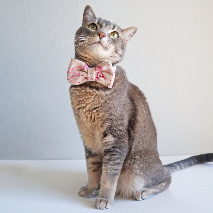 Art Splash Bow Tie