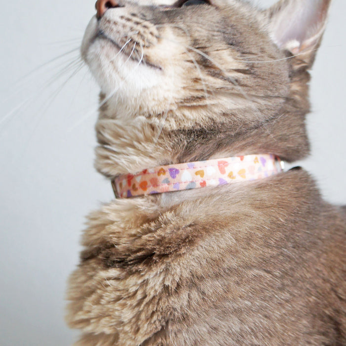 Cupid's Love Cat Collar