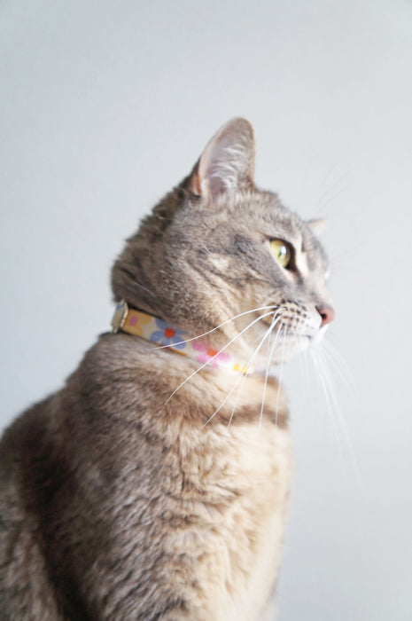Flower Power Cat Collar