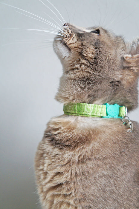 Green Marble Cat Collar