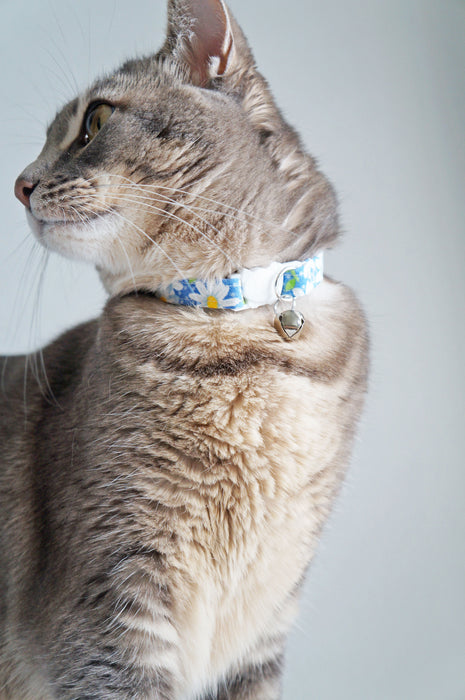 Dark Daisy Cat Collar