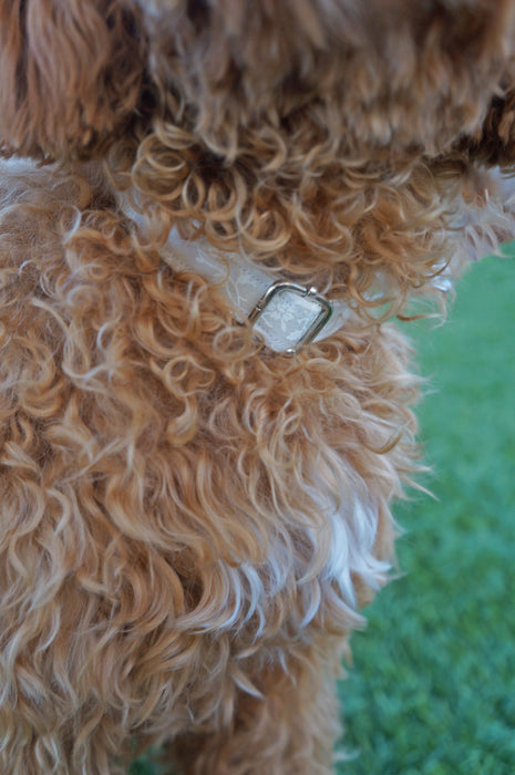 Cream Floral Dog Collar