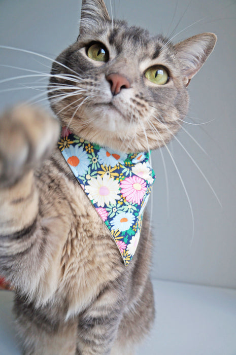Night Daisy Pet Bandanas