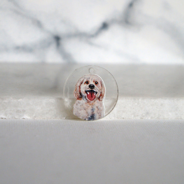 Cavachon Charm