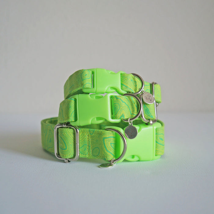 Neon Groove Dog Collar