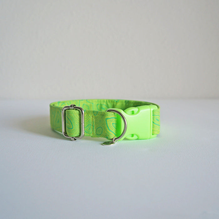 Neon Groove Dog Collar
