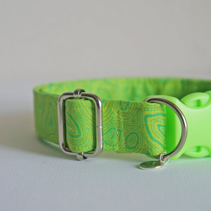 Neon Groove Dog Collar