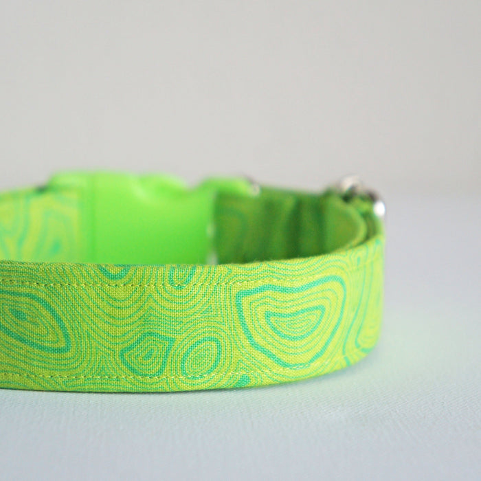 Neon Groove Dog Collar