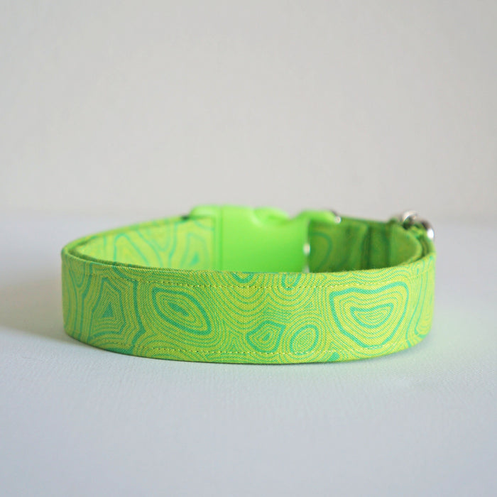 Neon Groove Dog Collar