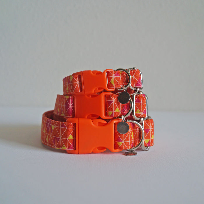 Orange Zest Dog Collar