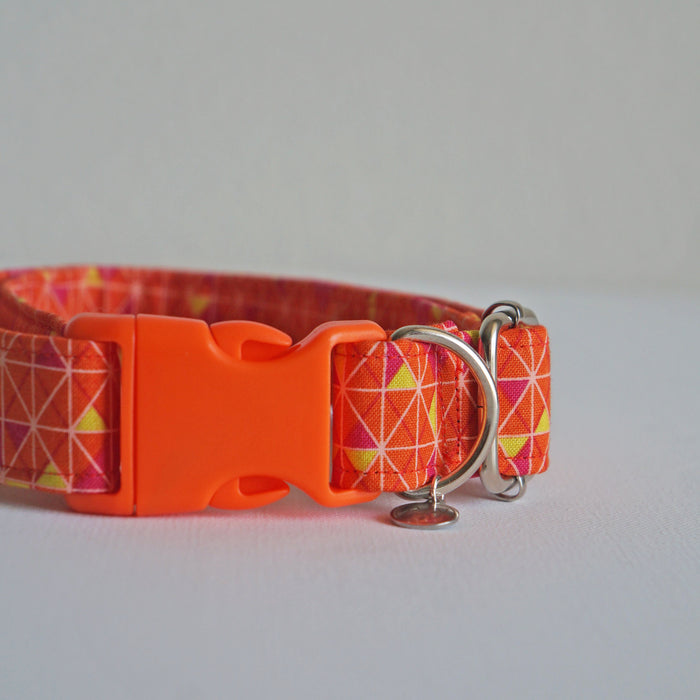 Orange Zest Dog Collar