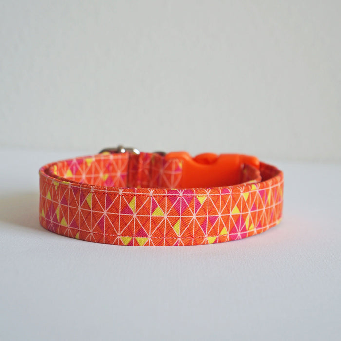 Orange Zest Dog Collar