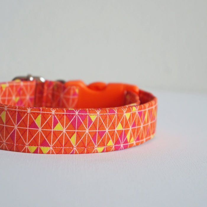 Orange Zest Dog Collar