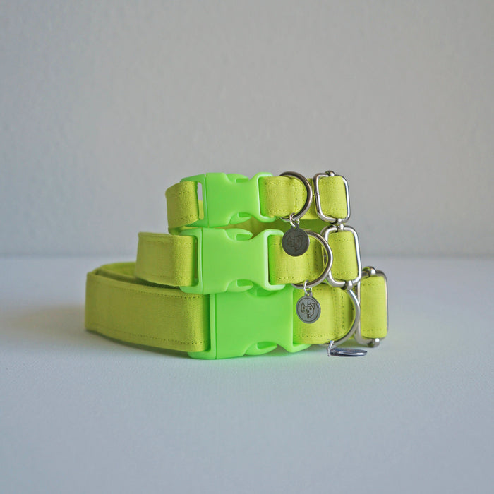 Neon Green Dog Collar