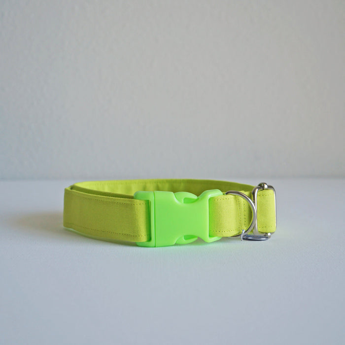Neon Green Dog Collar