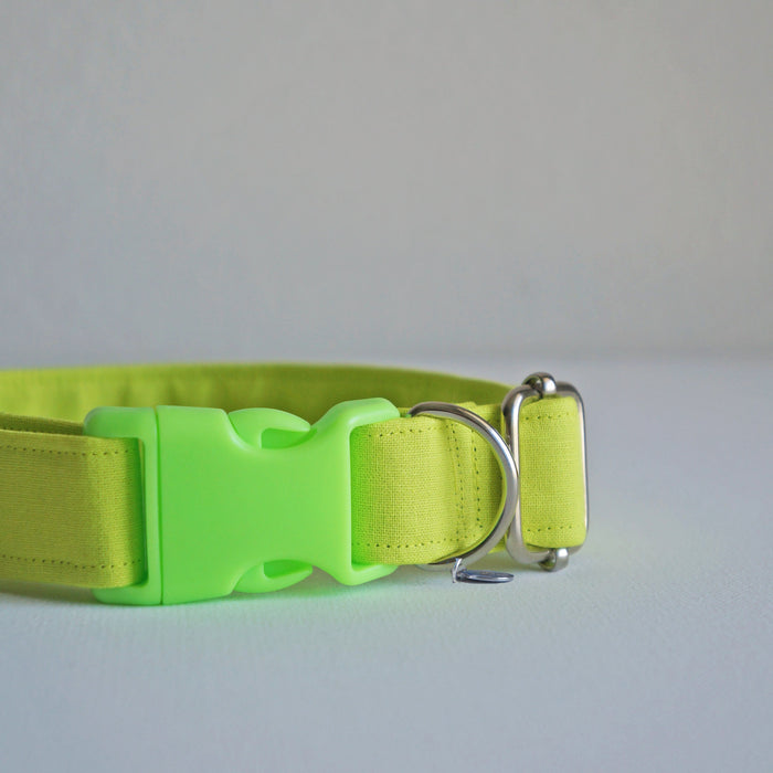 Neon Green Dog Collar