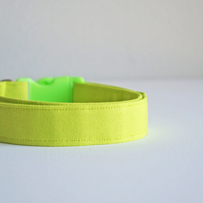 Neon Green Dog Collar