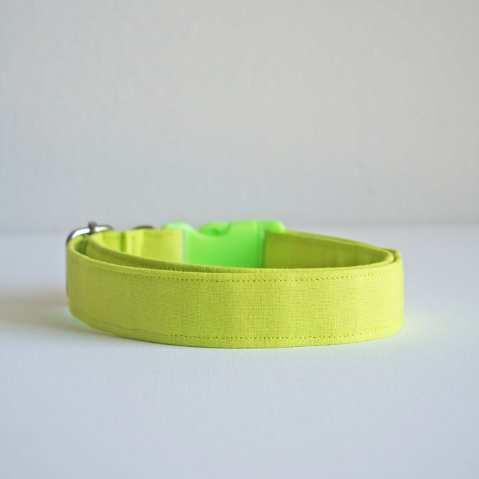 Neon Green Dog Collar