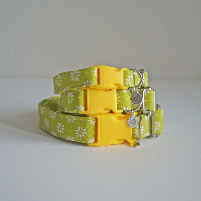 Lime Daisy Dog Collar