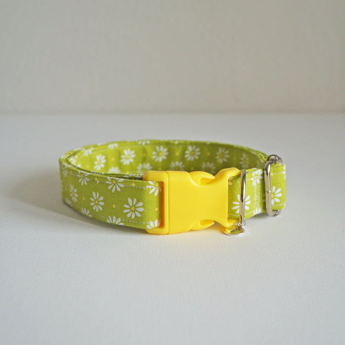 Lime Daisy Dog Collar