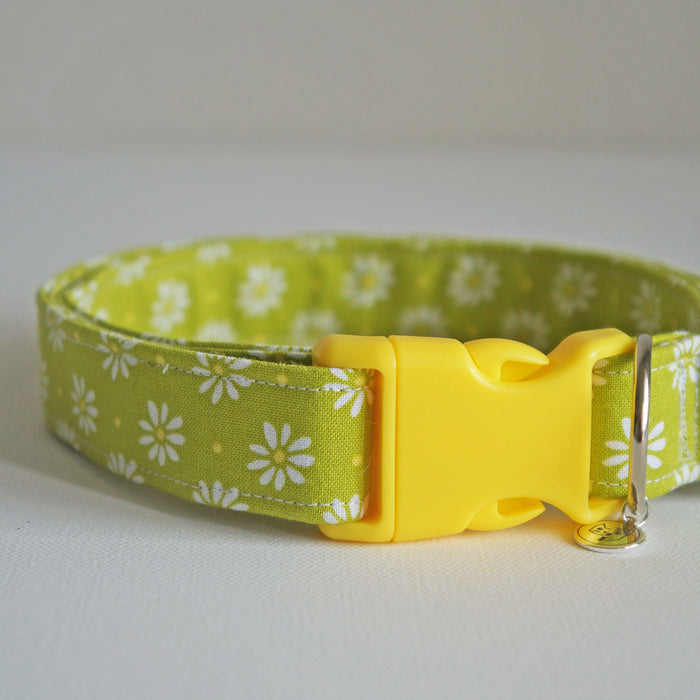 Lime Daisy Dog Collar