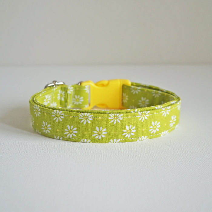 Lime Daisy Dog Collar
