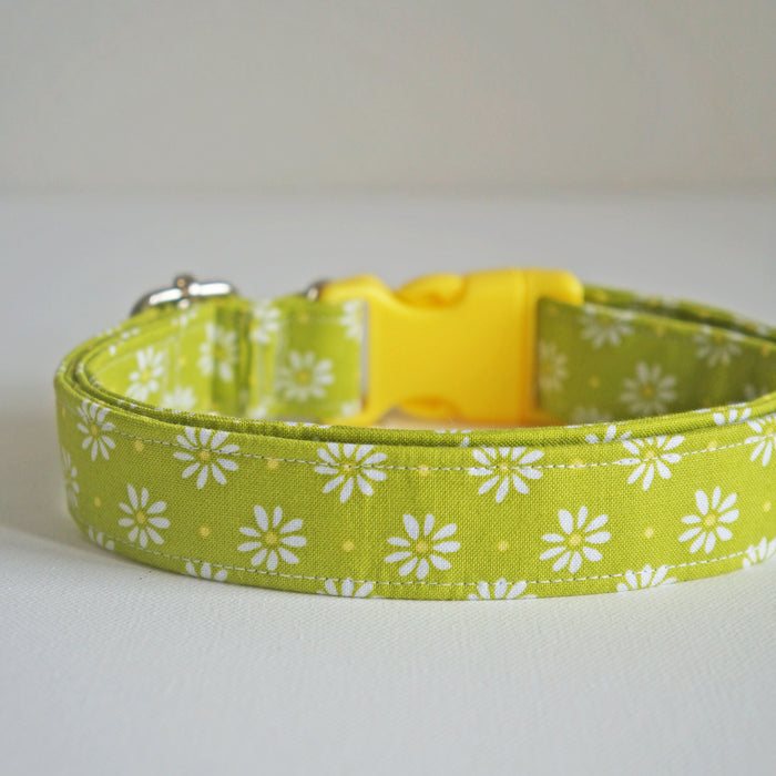 Lime Daisy Dog Collar