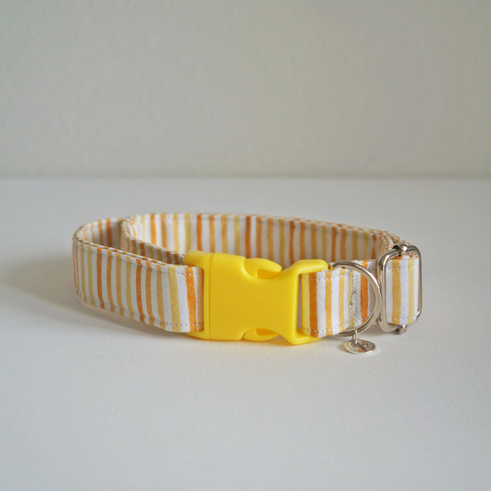 Sunshine Striped Dog Collar