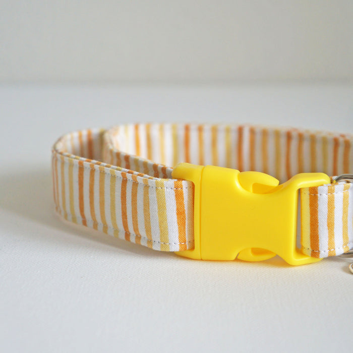 Sunshine Striped Dog Collar