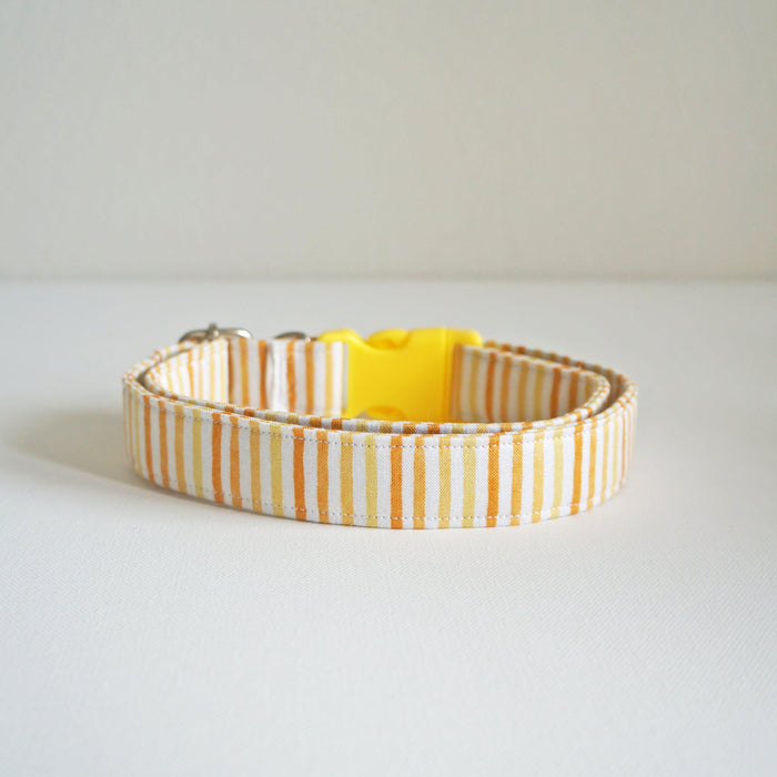 Sunshine Striped Dog Collar