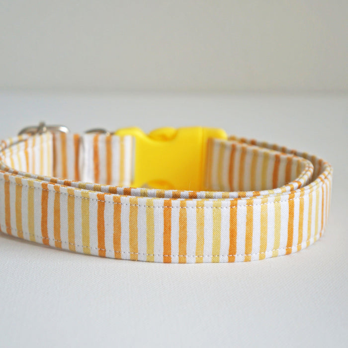 Sunshine Striped Dog Collar