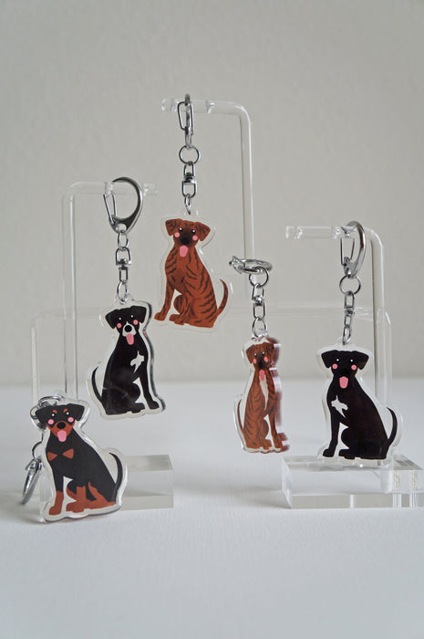 Hound Mix Epoxy Keychain