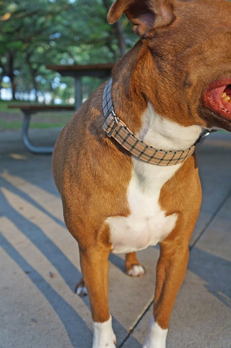 Beige Plaid Dog Collar