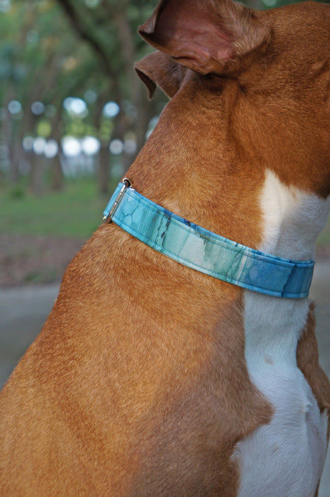 Clearwater Blue Dog Collar
