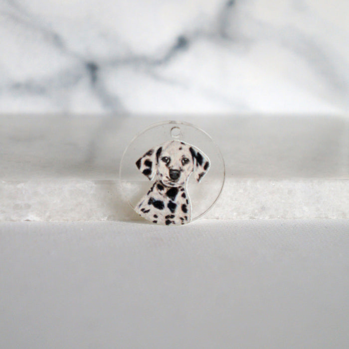 Dalmatian Charm
