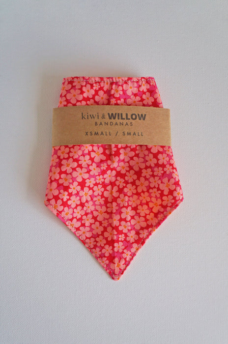 Fuchsia Floral Pet Bandanas